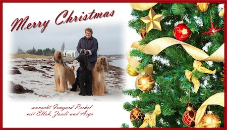 weihnachtskarte-2012-small.jpg